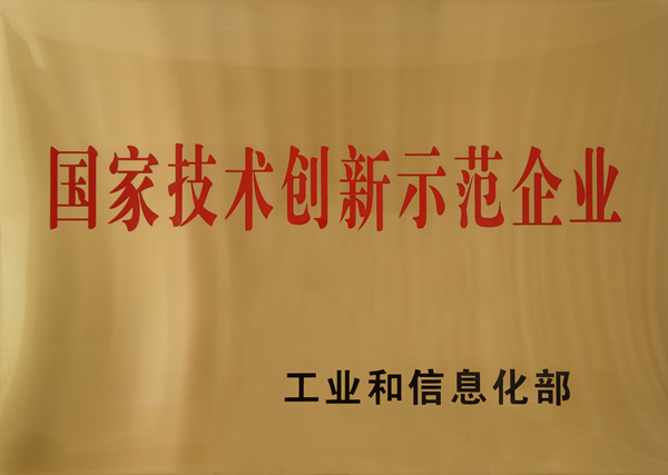 國家技術創(chuàng)新示范企業(yè)
