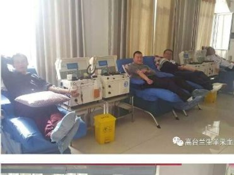 關愛女性   呵護健康&mdash;&mdash;高臺單采血漿公司開展關愛女性系列公益活動